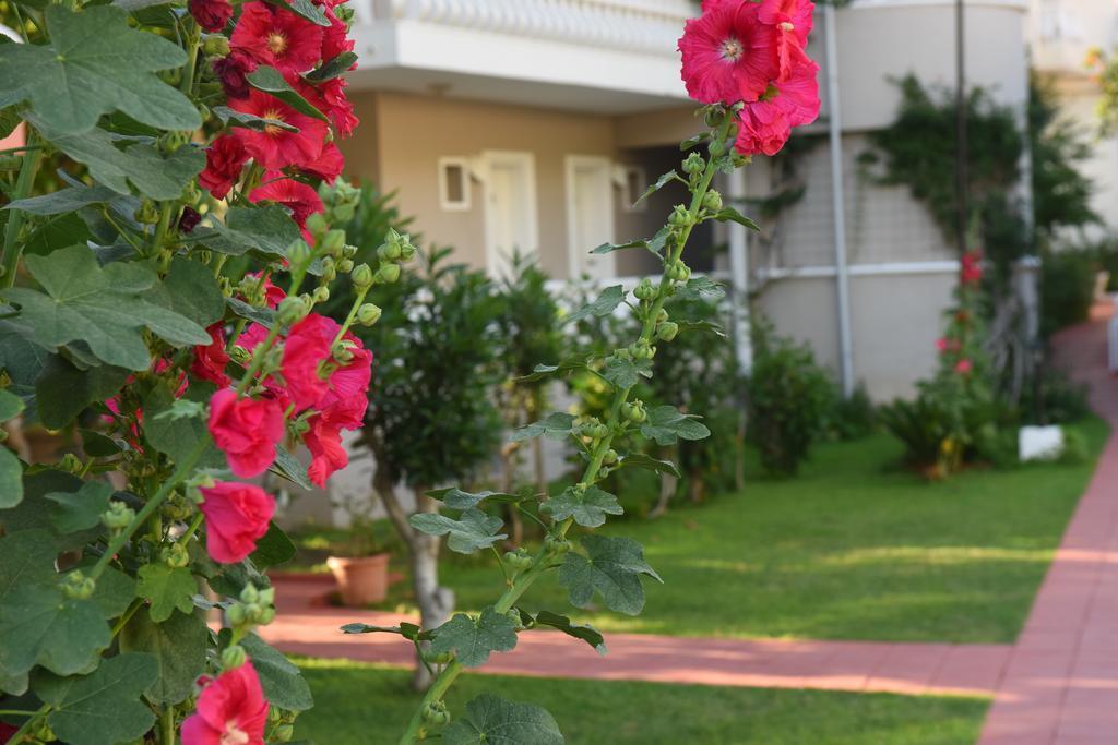 Oludeniz Turquoise Hotel Екстериор снимка